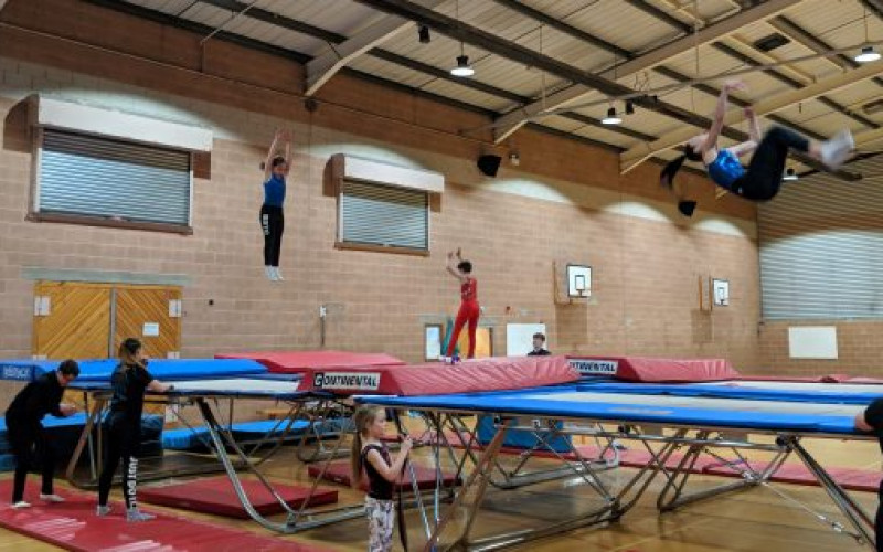 tramp-646x317